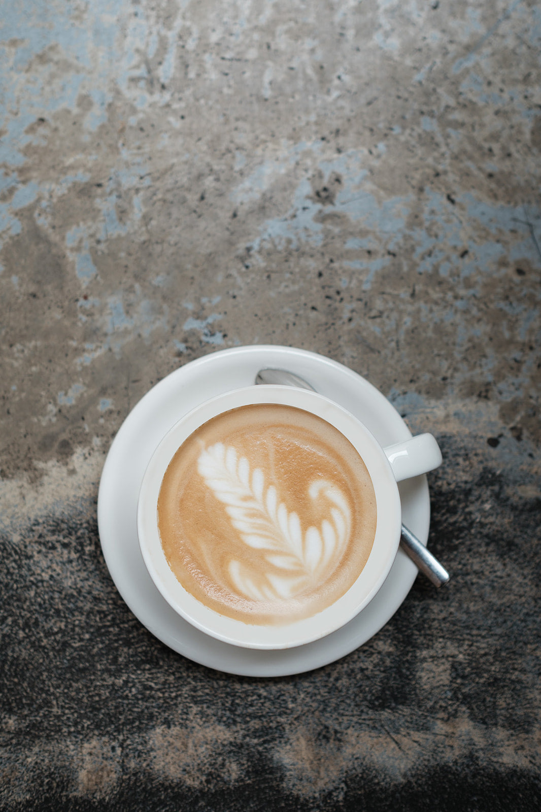 THE REAL HOME ESPRESSO WORKSHOP