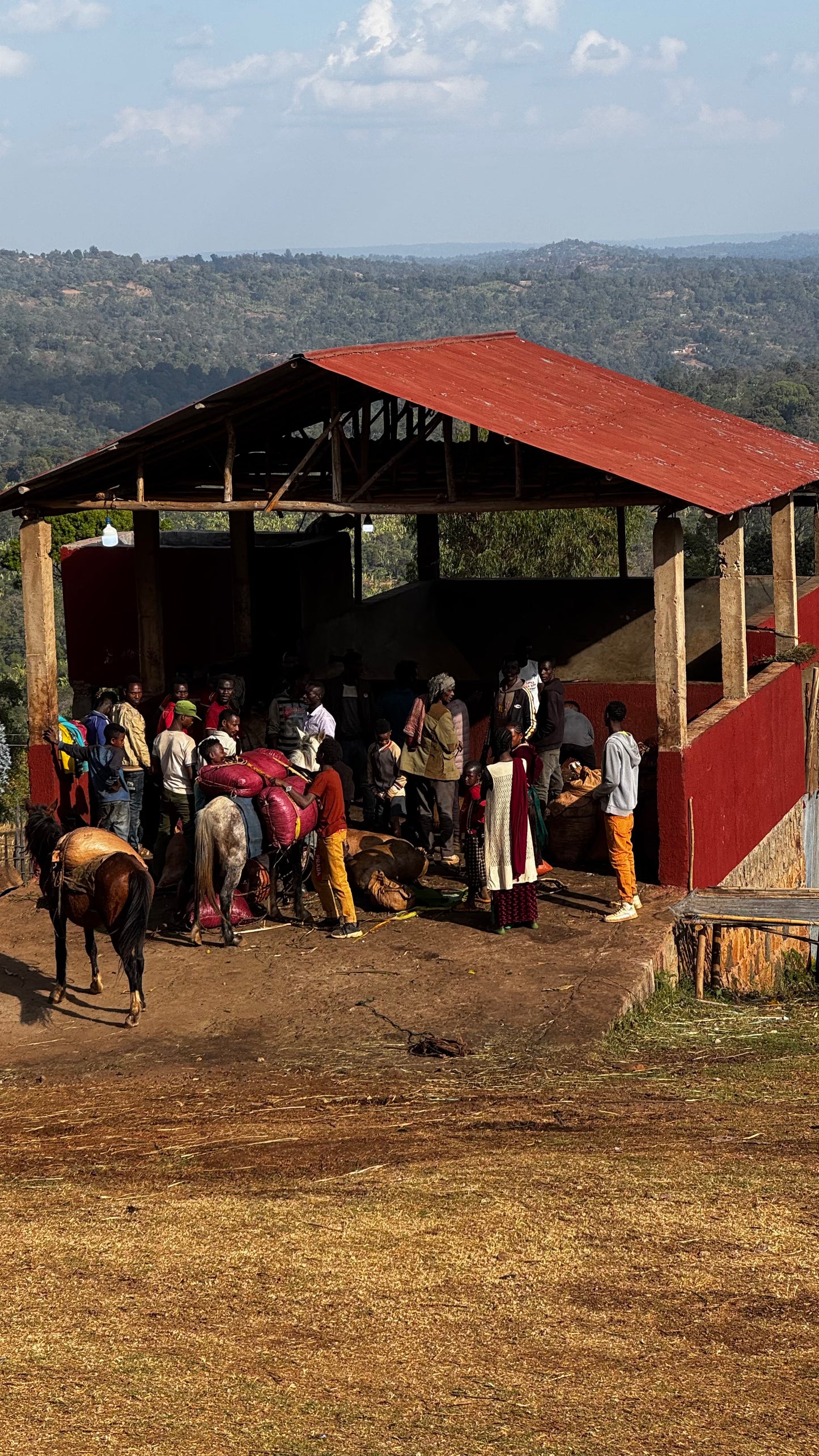 TAGEL ALEMAYEHU | Ethiopia | Washed