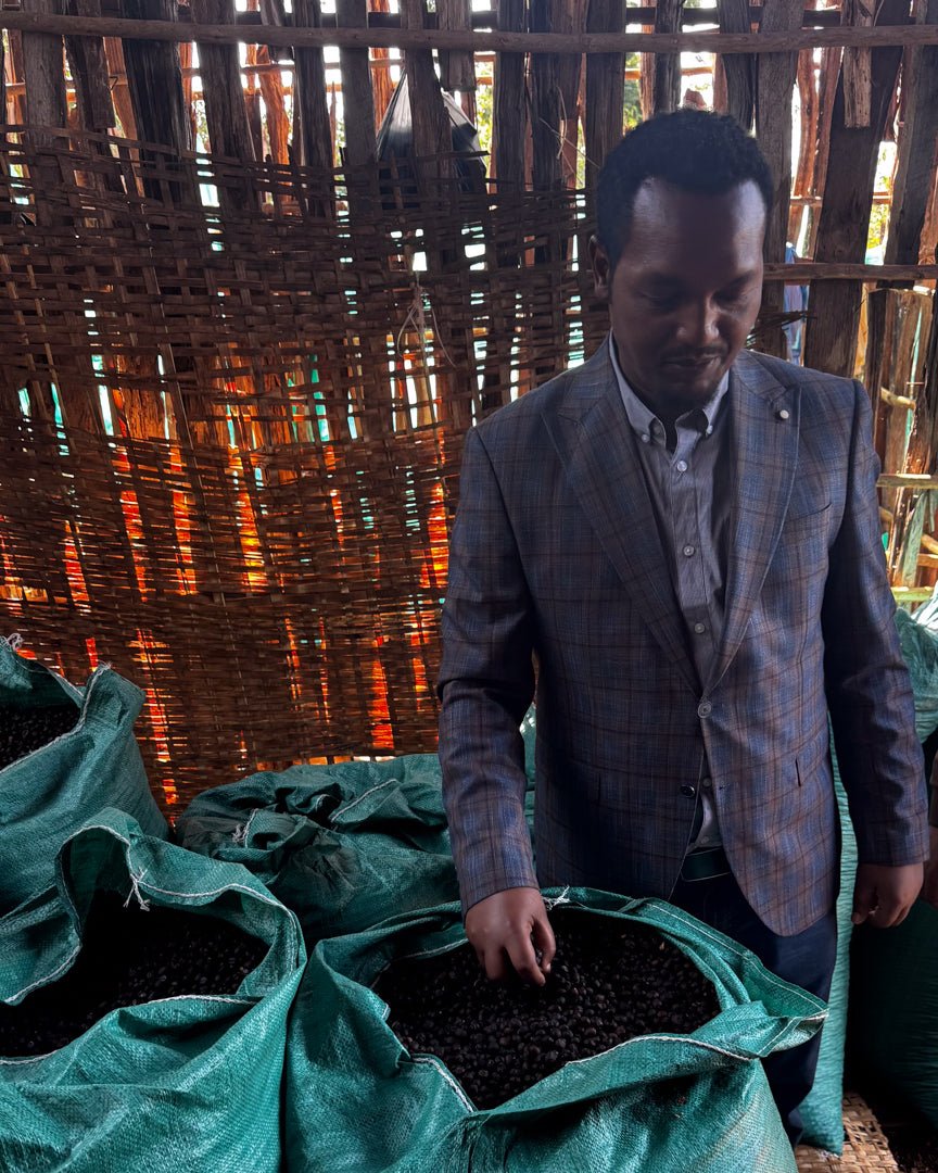 GEMECHU SHONORA GR.2 | Ethiopia | Natural - kaffemikPapaya | Orange Sorbet | HerbalKaffeebohnen