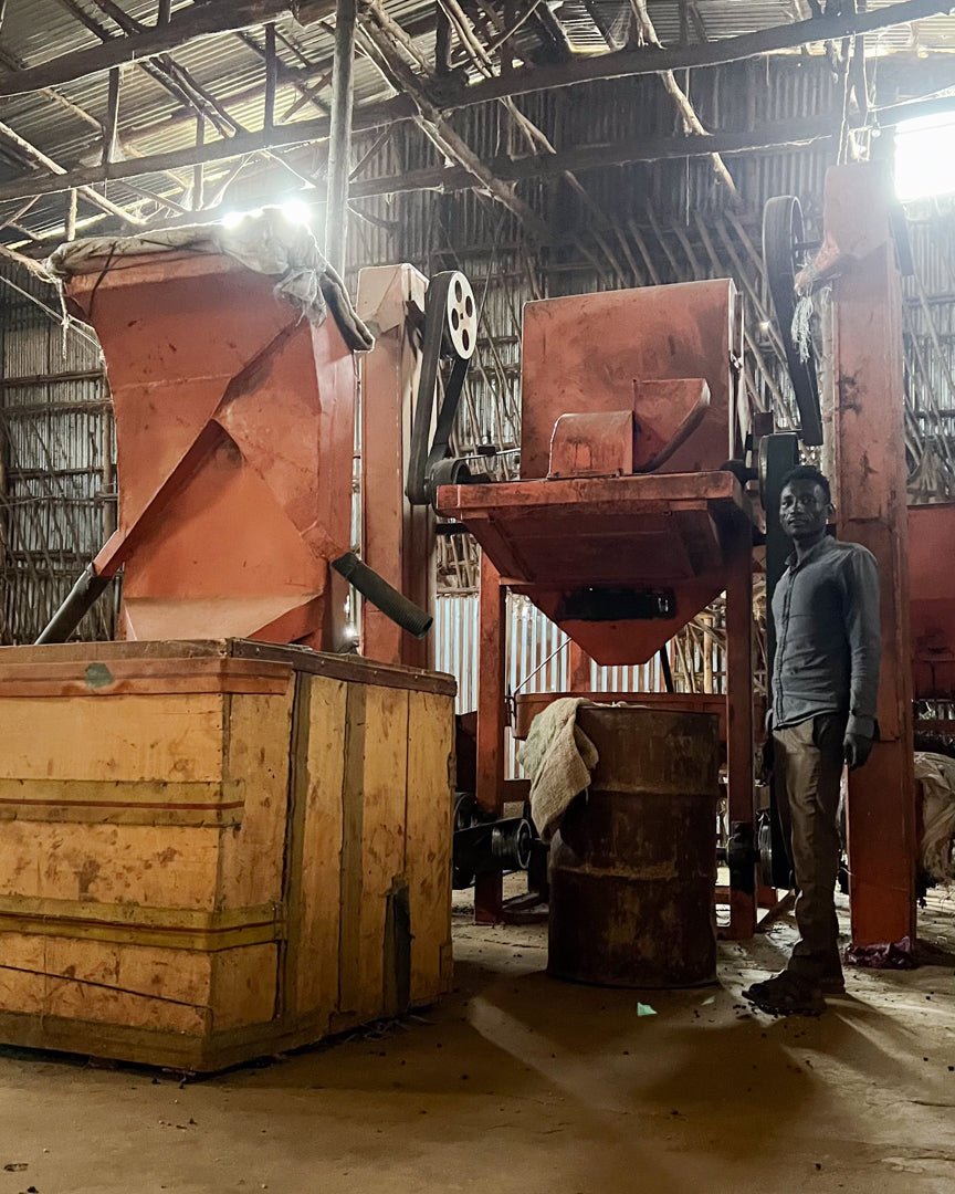 GEMECHU SHONORA GR.2 | Ethiopia | Natural - kaffemikPapaya | Orange Sorbet | HerbalKaffeebohnen