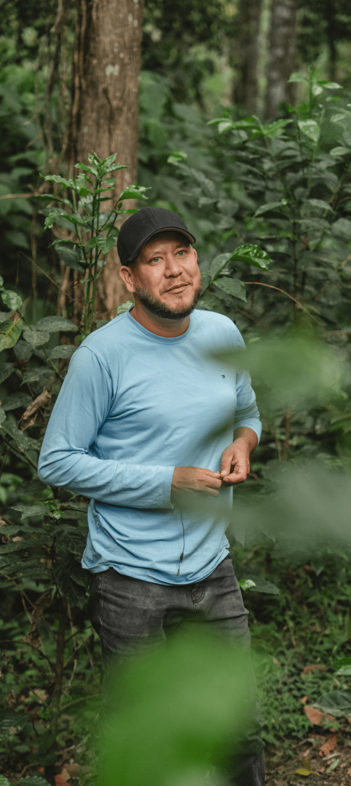 JESUS GALEAS GESHA | Honduras | Natural - kaffemikQuince | Cherry Compote | VanillaKaffeebohnen