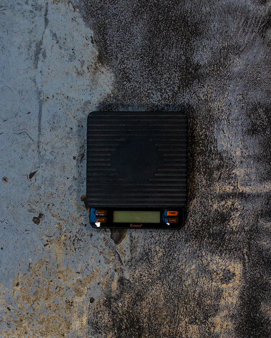 Smart Scale II
