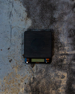 Smart Scale II